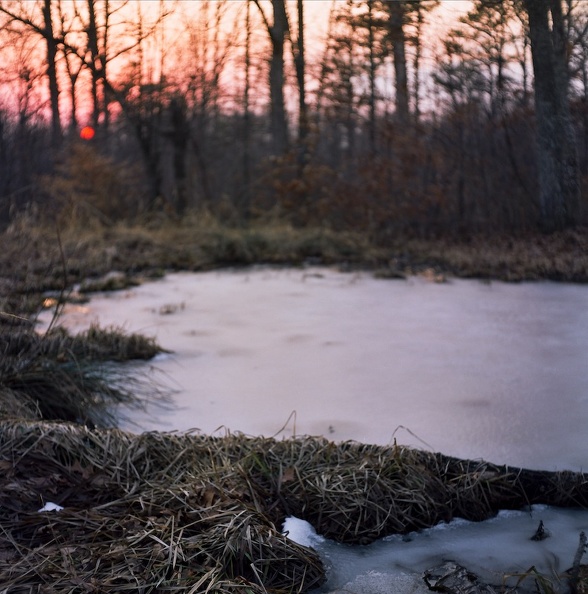 Sheltowee Trace sunset